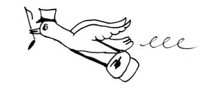 contact